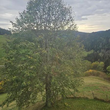 Gaestehaus In Ruhiger Lage Zum Entspannen Holiday home Sankt Kathrein am Offenegg