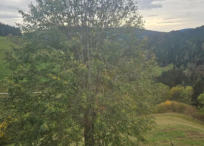 Gaestehaus In Ruhiger Lage Zum Entspannen Casa vacanze Sankt Kathrein am Offenegg